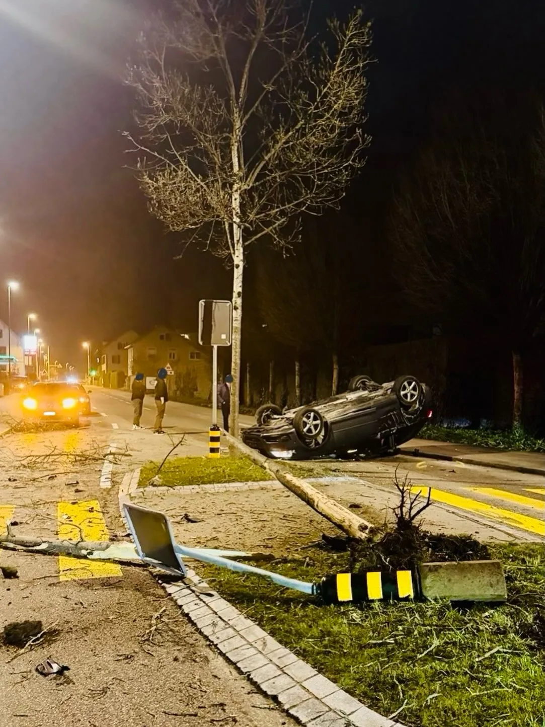 Ein dunkles Audi liegt auf dem Dach. Im Vordergrund der nächtlichen Szene sieht man einen umgefahrenen Inselpfosten und einen geknickten Baum.